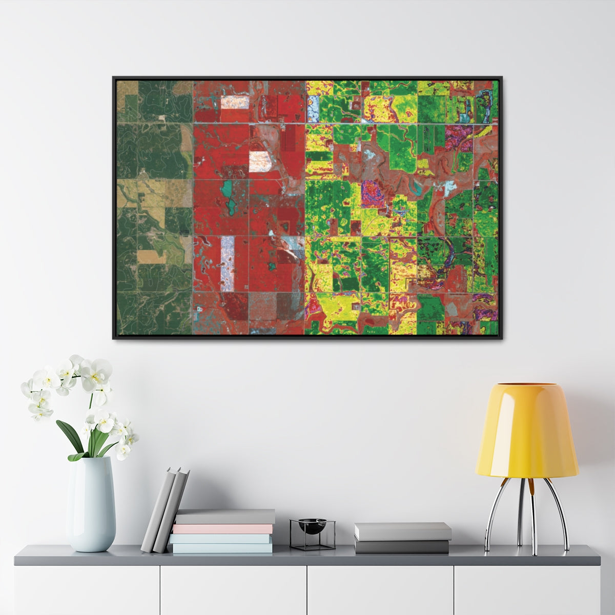 Guggenheim Satellite Imagery Framed Canvas Art from Countryside/The Future Exhibition