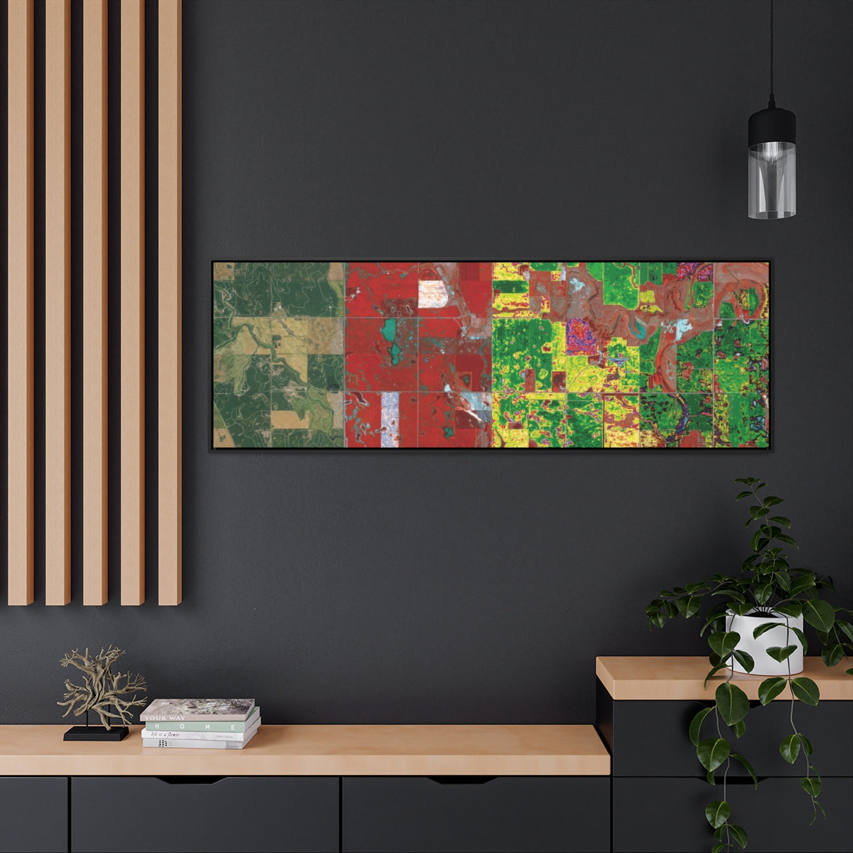 Guggenheim Satellite Imagery Framed Canvas Art from Countryside/The Future Exhibition
